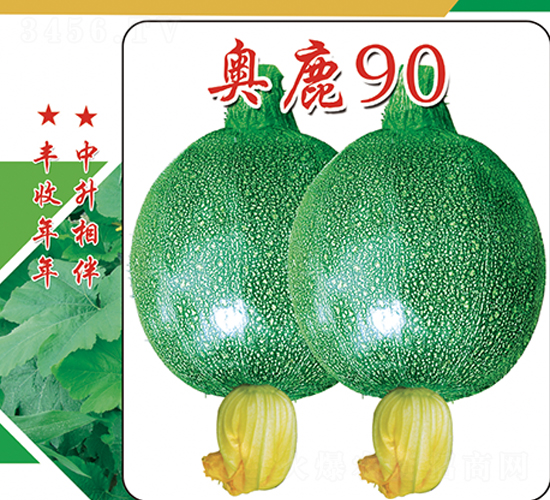 �W¹90-�����J�N��-�����r�I