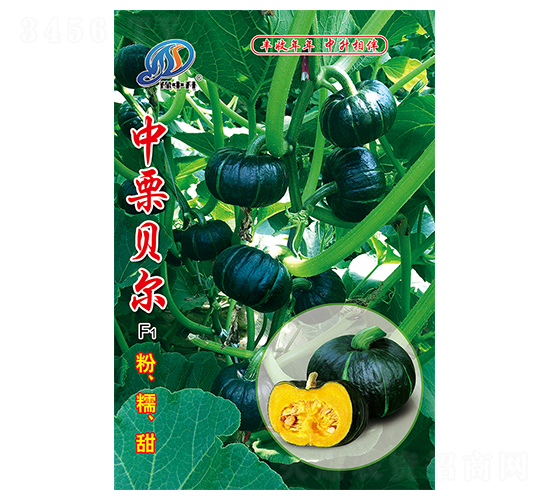 ����ؐ��-�ϹϷN��-�����r�I