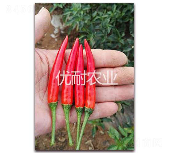 泰椒1102-辣椒種子-優耐農業