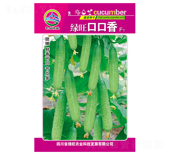 �G���ڿ���-��ɽ�G��-�G���r�I