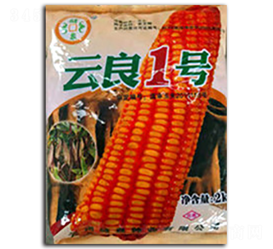 ����1̖-��Ȫ�N�I