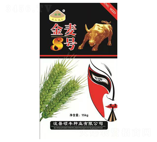 ����8̖-С���N��-�T�S