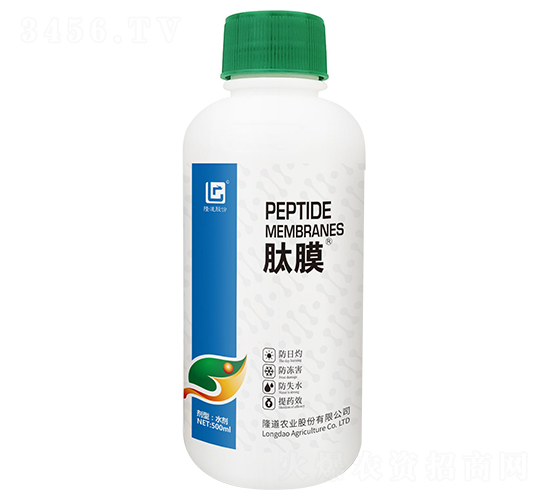 500ml��Ĥ-¡���r�I