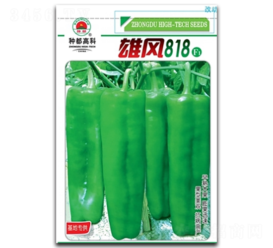 ���L818-�����N��-�߿ƷN�I