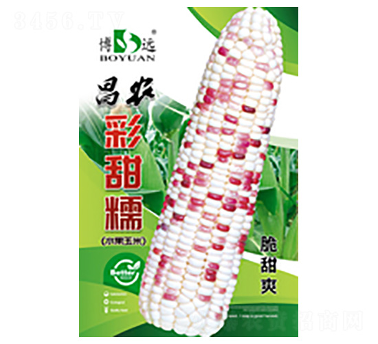 ����Ŵ-���r�N�I