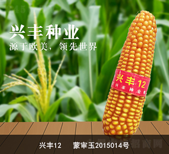 �d�S12-���׷N��-�d�S�N�I