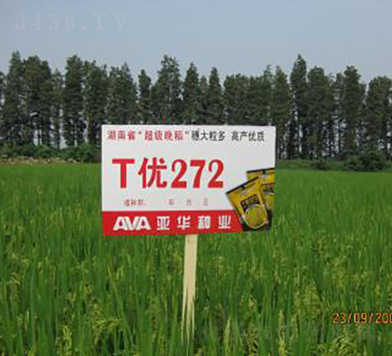 T��272-�s������-���A�N�I