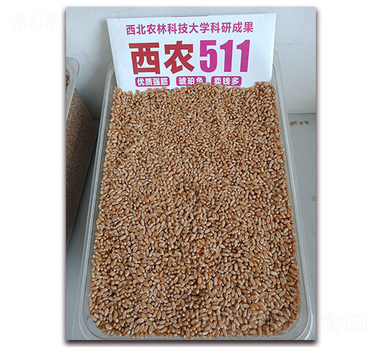 ���r511����D-С���N��-�S�ƷN�I