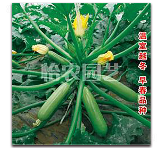 ����-�����J�N��-���r(n��ng)�@ˇ