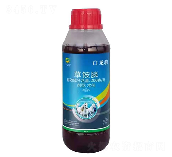 ���@�ˮ��-�����x-���ɽ�