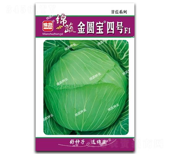 ���A����̖-���˷N��-�d�߷N�I