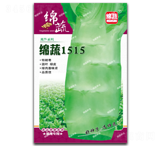 綿蔬1515-萵筍種子-綿蔬種業(yè)