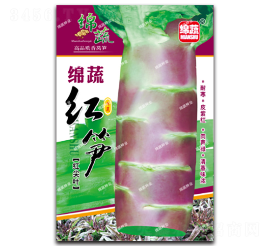 �d�߼t�S-�n�S�N��-�d�߷N�I