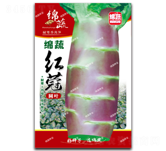 �d�߼t�F-�n�S�N��-�d�߷N�I