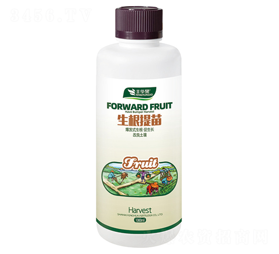 ���������-�S�A��-�S�A�ʘI