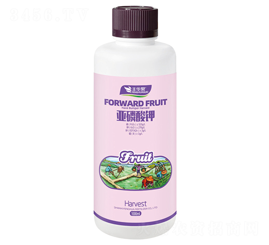 �������-�S�A��-�S�A�ʘI