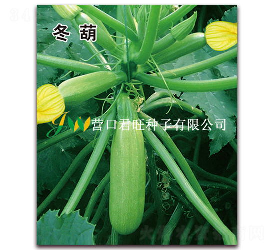 ����-�����J�N��-�I(y��ng)�ھ���