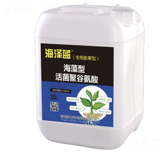 海藻型活菌聚谷氨酸-海澤藍(lán)-海之藍(lán)