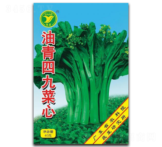 �����ľŲ���-���ķN��-���r