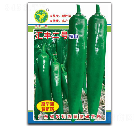 �R�S��̖-�����N��-���r