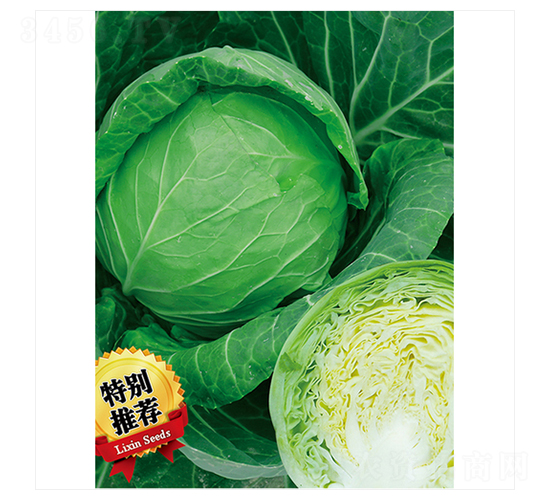 �G��-���{�N��-����