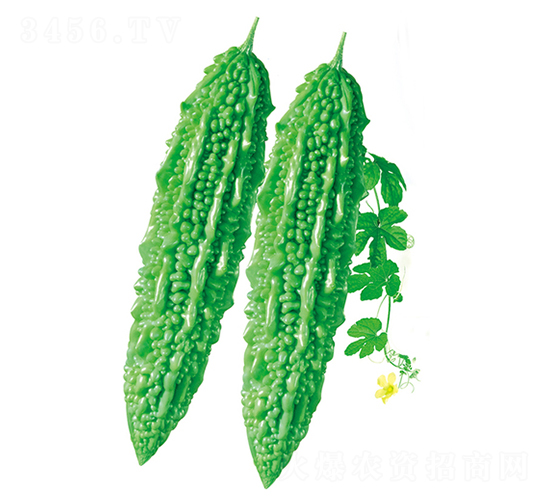 �G��-��ϷN��-����