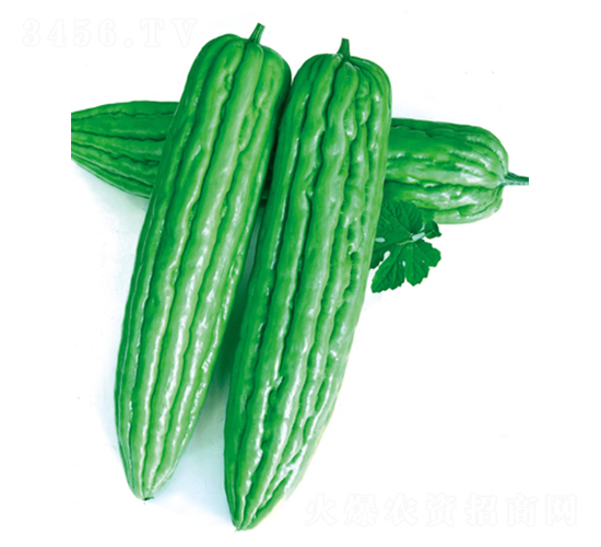 ��׿��̖-��ϷN��-����