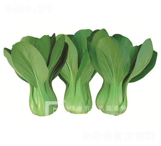 ����187-�๣�˷N��-�¸�