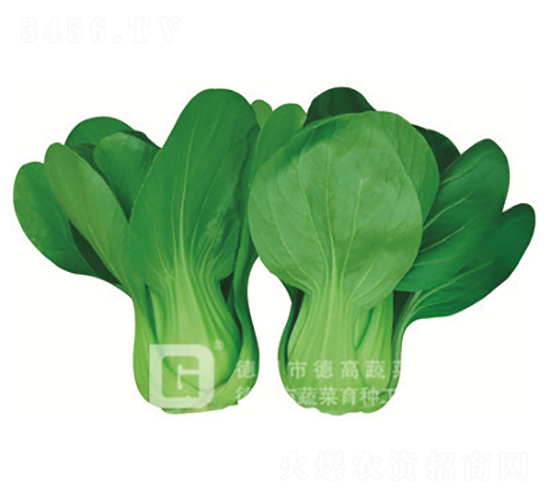 ���_������-�¸��S�A-�๣�˷N��-�¸�