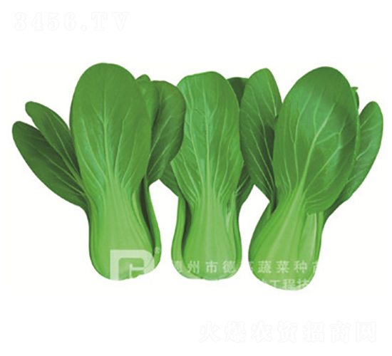 ����7̖-�๣�˷N��-�¸�