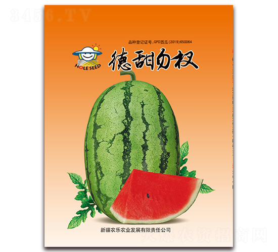 �������-���ϷN��-�r���r�I