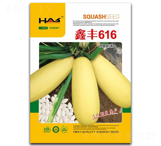 ���S616-���������J�N��-�β���