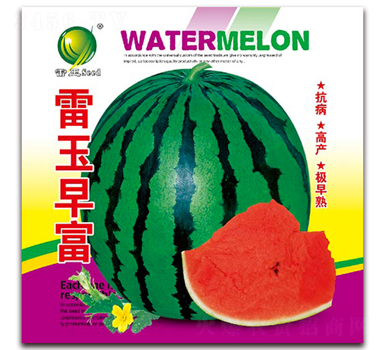 �����縻-���ϷN��-����N�I