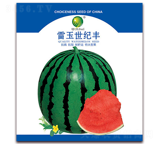 �������o�S-���ϷN��-����N�I