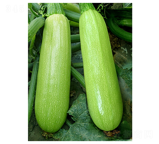 ����-�����J�N��-�x���