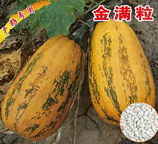 ��M��-�����J�N��-�x���