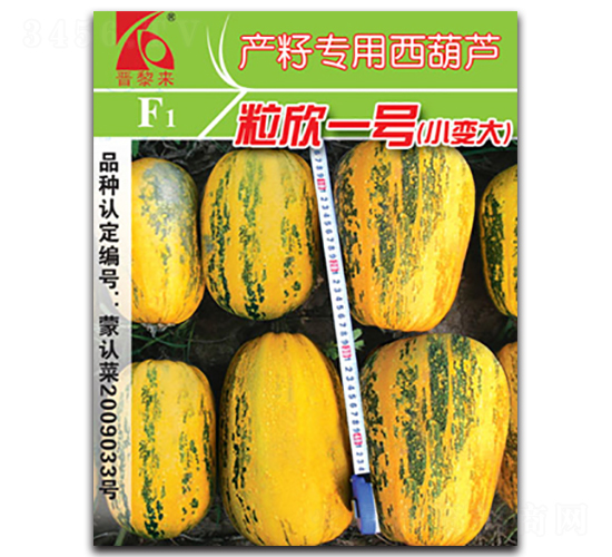 ����һ̖-�����J�N��-�x���