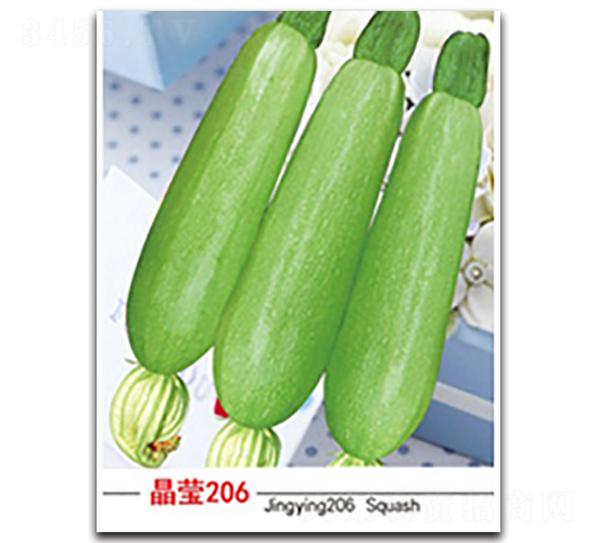 ����206-�����J�N��-�x���