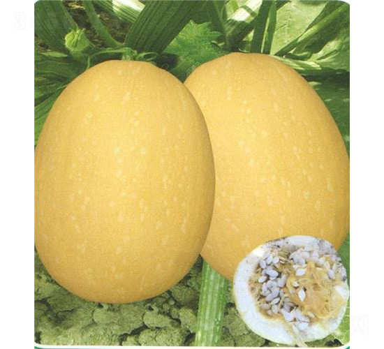 ̩�S��̖�����J-�����J�N��-��̩�_