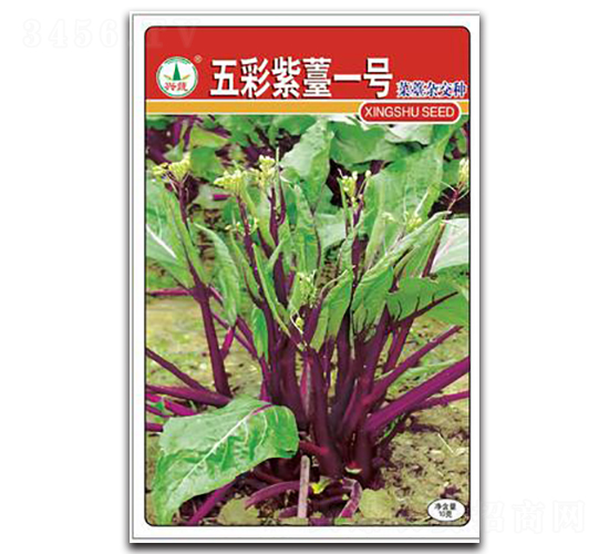 �����޷1̖-��̦�N��-�d�߷N�I