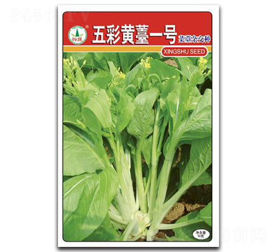 ����Ș1̖-��̦�N��-�d�߷N�I