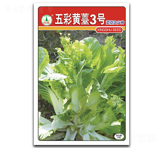 五彩黃薹3號(hào)-菜苔種子-興蔬種業(yè)