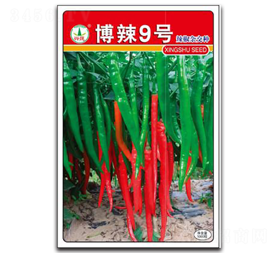 ����9̖-�����N��-�d�߷N�I