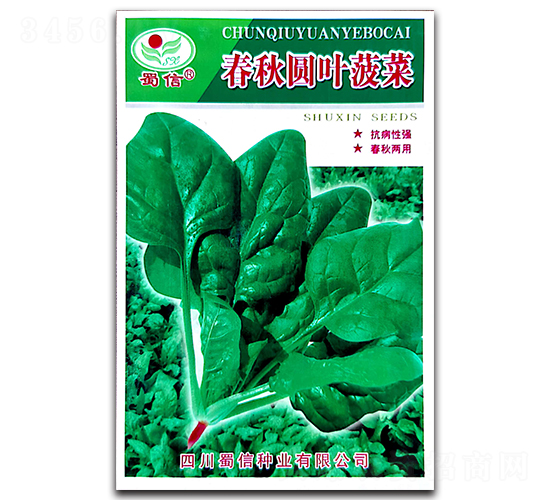 ����A�~����-���˷N��-���ŷN�I