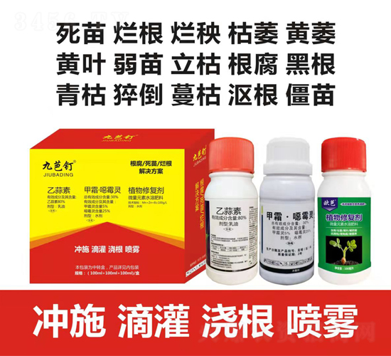 �������砀����Q����-�Ű��-�����r��