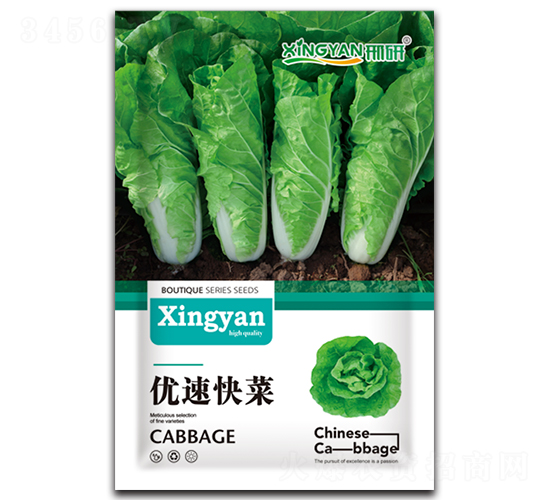 ���ٿ��-��˷N��-���зN�I