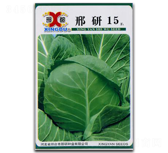 ����15-���{(l��n)�N��-���зN�I(y��)