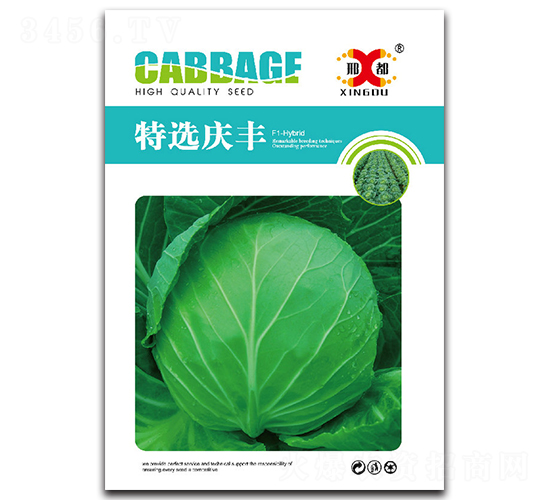 ���x�c�S-���{�N��-���зN�I