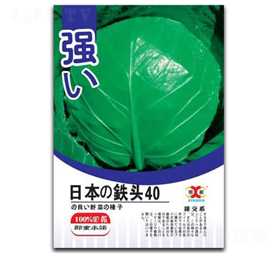 �ձ��F�^40-���{(l��n)�N��-���зN�I(y��)