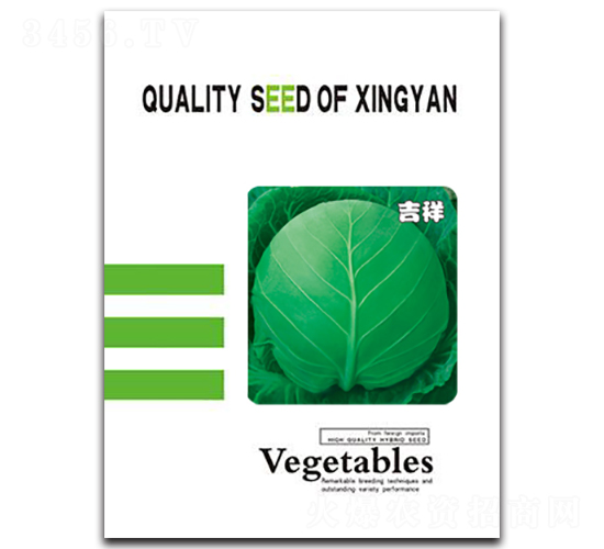 ����-���{�N��-���зN�I